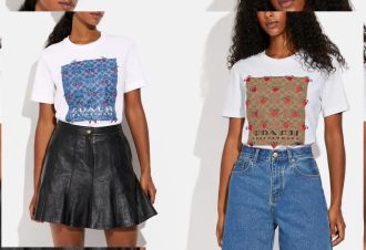Must Have Coach T-shirts For Women